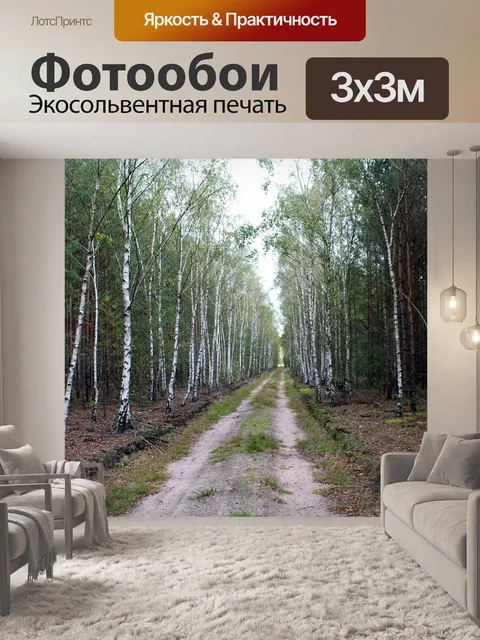 Фотообои Березовый лес