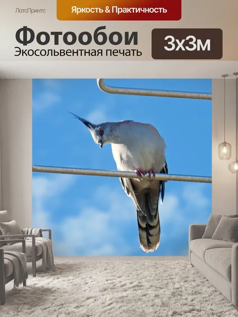 Фотообои Птица