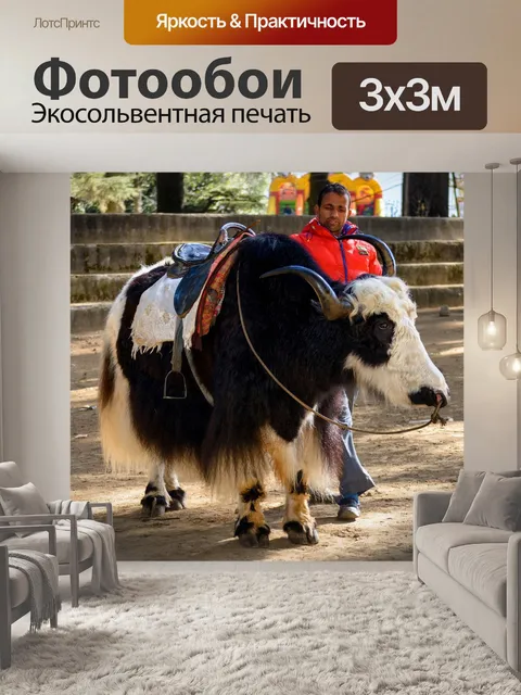 Фотообои Манали