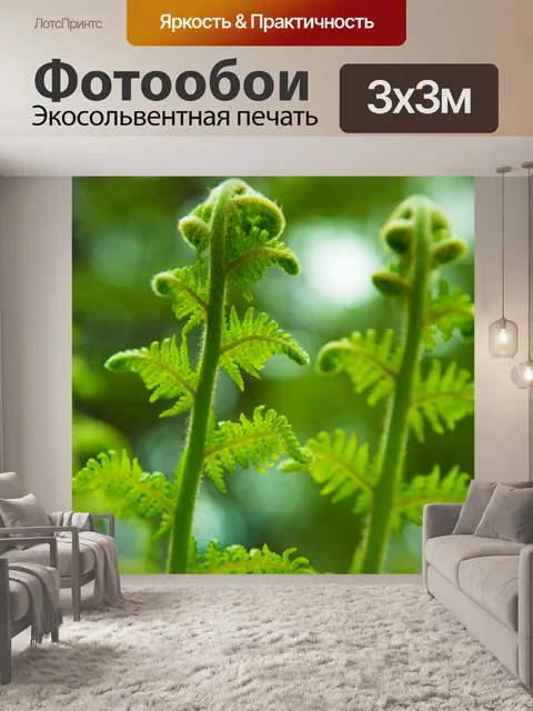 Фотообои папоротник