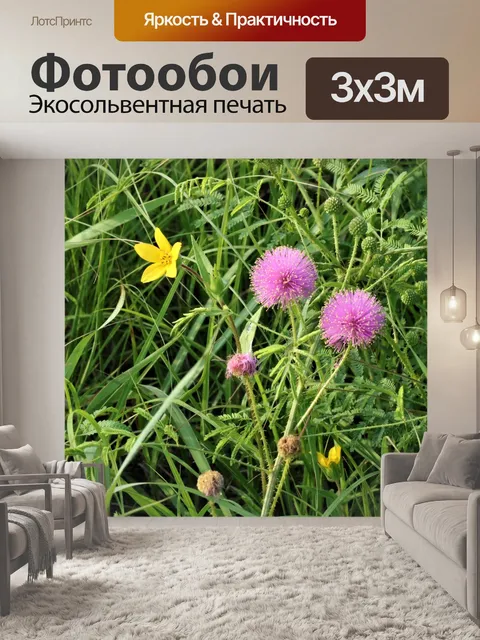 Фотообои Catclaw Briar Полевые цветы в поле