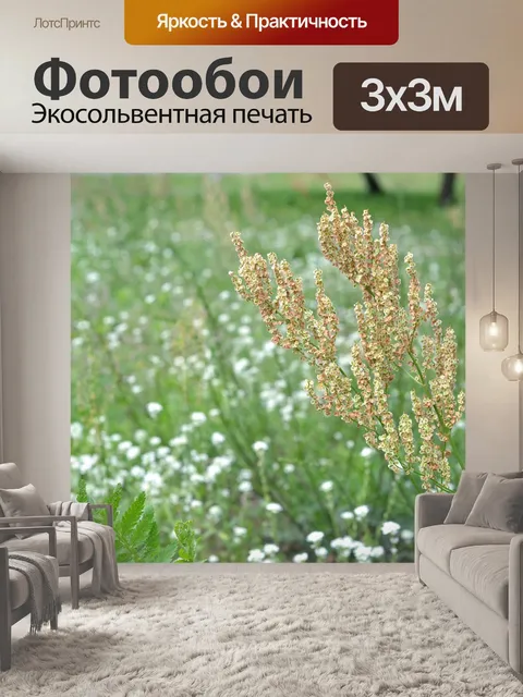 Фотообои Цветущий
