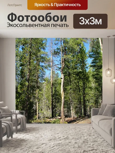 Фотообои Дерево