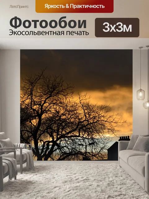 Фотообои заходящего солнца