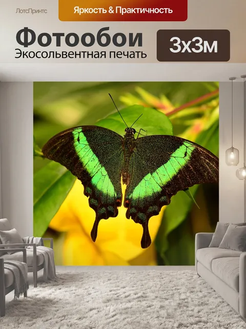 Фотообои Изумрудные махаон