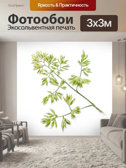 Фотообои Зеленые растения