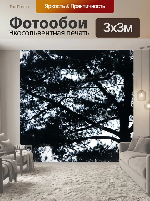 Фотообои вид сосны в силуэт