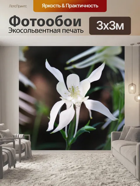 Фотообои Белый Коломбина и Боке