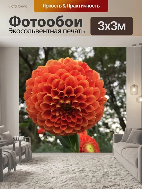 Фотообои Оранжевый