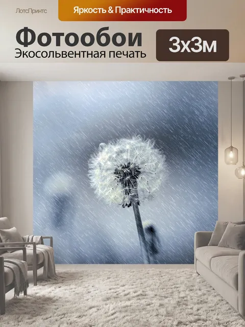 Фотообои одуванчик под дождем