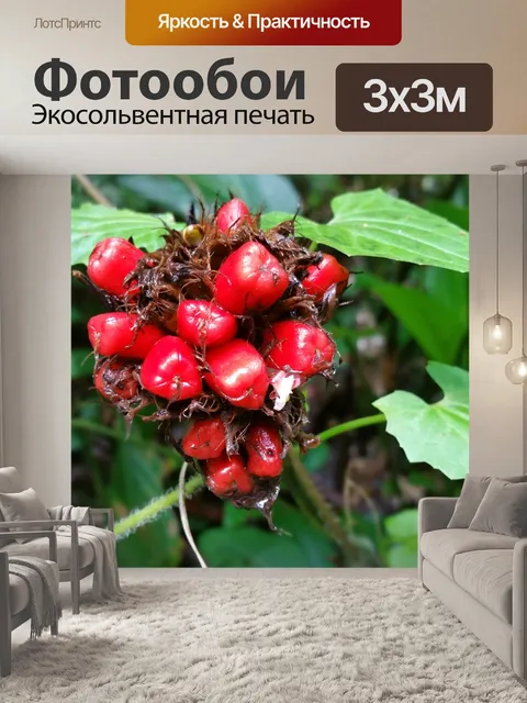 Фотообои Цветок