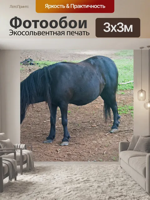 Фотообои темно-коричневый пони стоит на земле