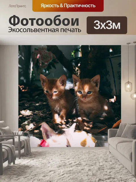 Фотообои Кошка