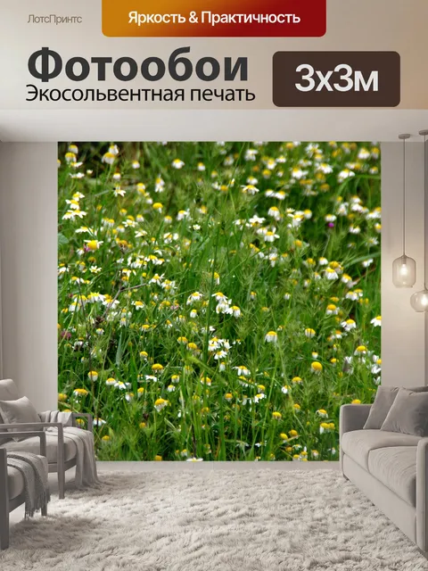 Фотообои Зеленая ромашка поле фон