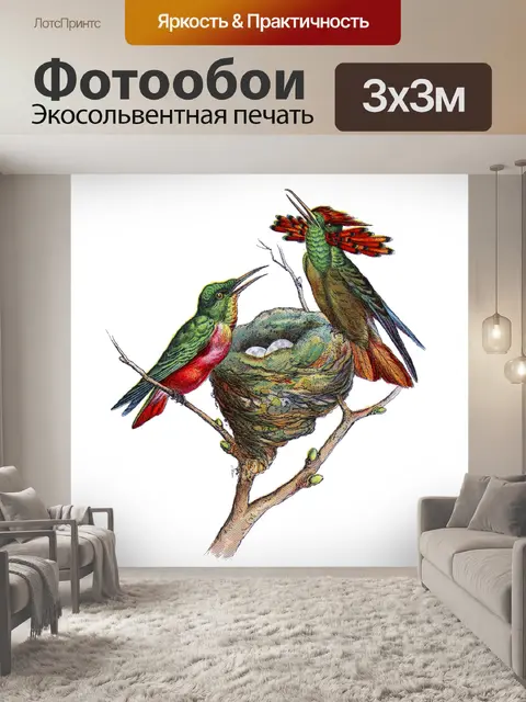 Фотообои Иллюстрация винтажного искусства птиц