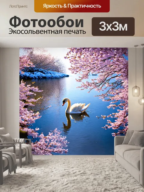 Фотообои на зеркальной поверхности озера, освещенного весенним солнцем, покоится лебедь
