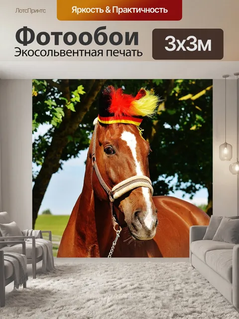 Фотообои Чемпионат европы