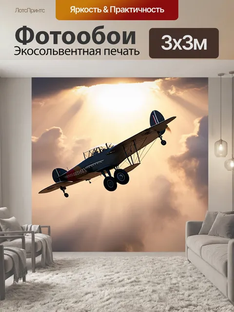 Фотообои утренний полёт старинного самолета через туман