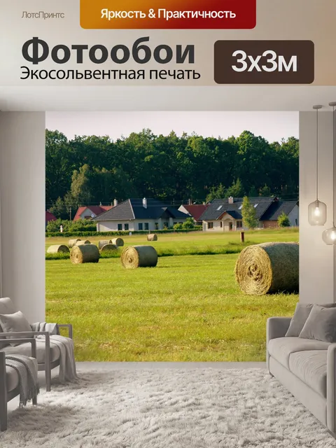 Фотообои Деревня