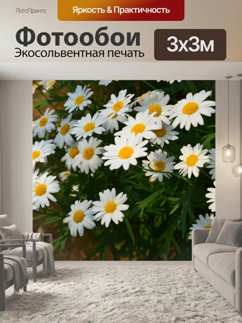 Фотообои Белый цветок