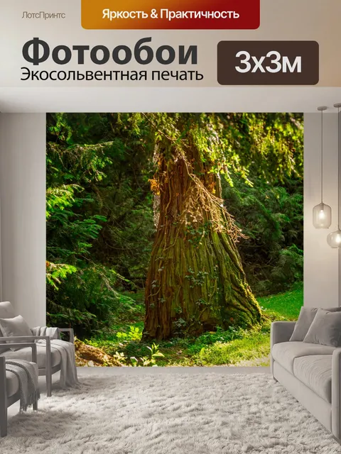 Фотообои Солнечные лучи в парке