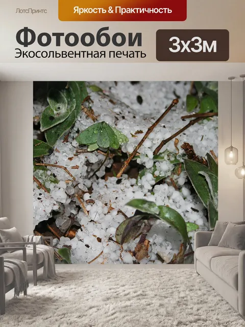 Фотообои слой града между растениями
