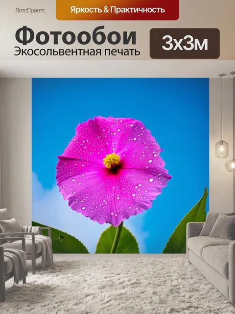 Фотообои цветок, распускающийся на фоне ясного голубого неба, с каплями росы на лепестках, блестящими на солнце…