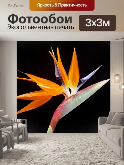 Фотообои Райская птица