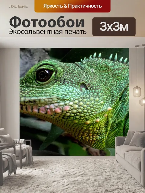 Фотообои Китайский водный дракон