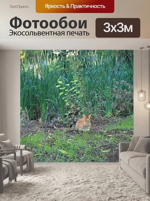 Фотообои коричневые и серые зайчики на траве