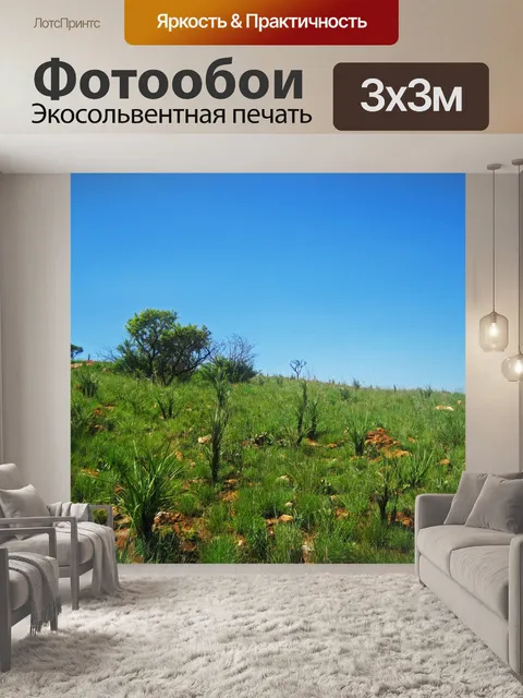 Фотообои склон, покрытый зеленой растительностью