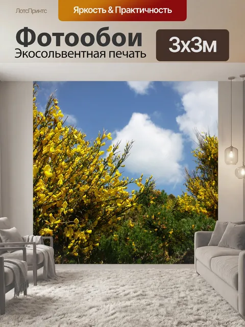 Фотообои Нормандия