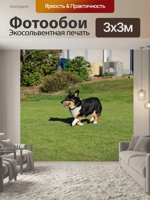 Фотообои собака