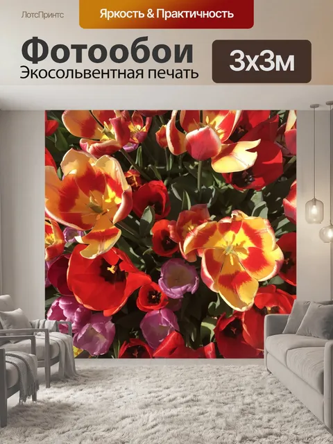 Фотообои Тюльпаны