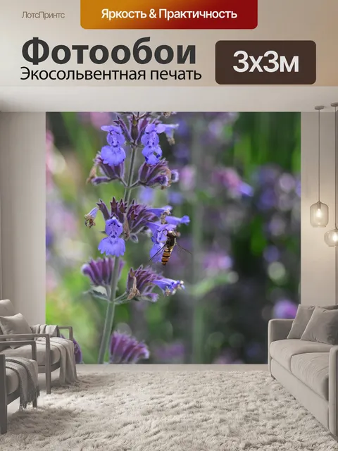 Фотообои Левитация муха на цветке