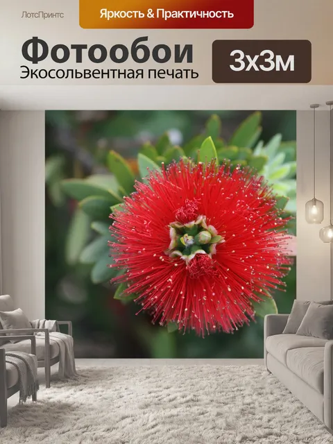 Фотообои Растения