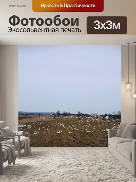 Фотообои Животные