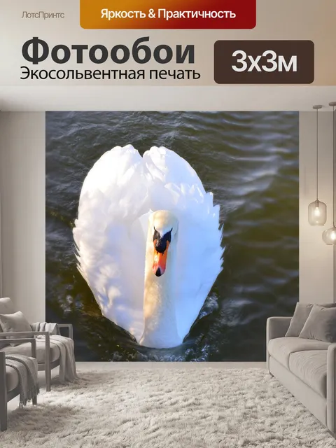 Фотообои Лебедь