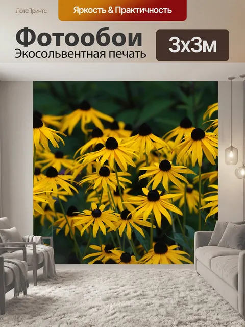 Фотообои Coneflower цветы цветут желтый