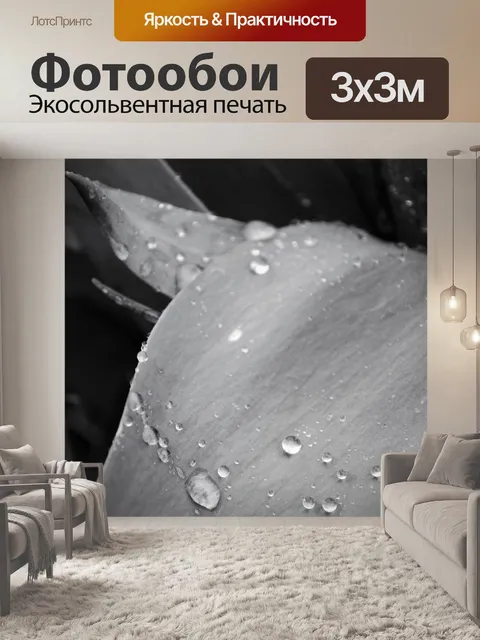 Фотообои капли дождя на листьях
