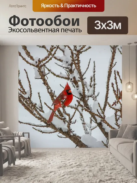 Фотообои Птица