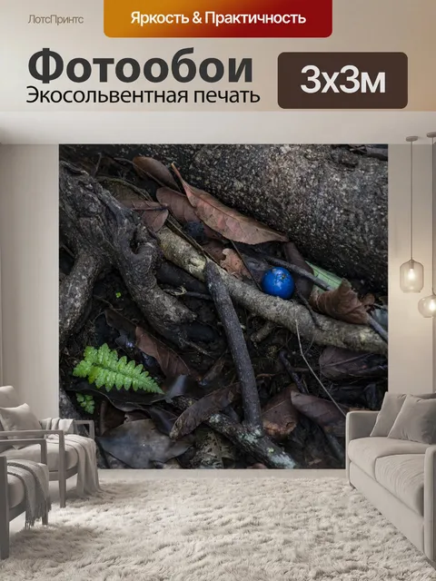 Фотообои Дождевой лес