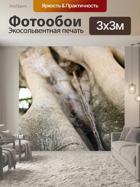 Фотообои Высота