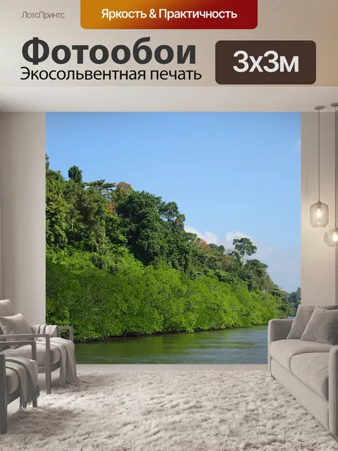 Фотообои Мангровые заросли