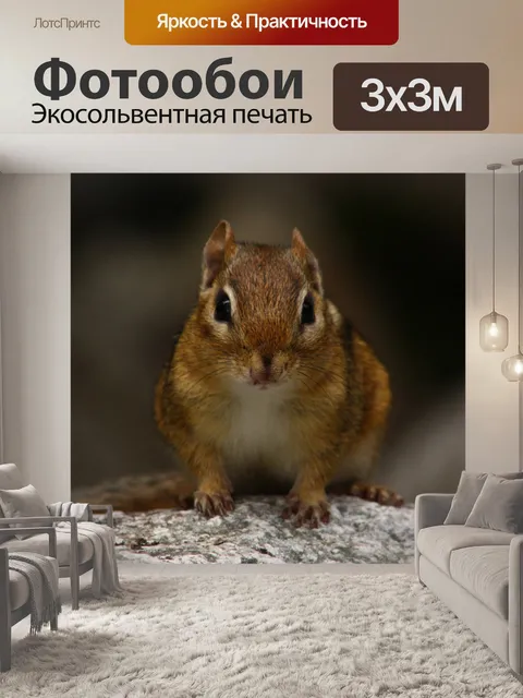 Фотообои Бурундук
