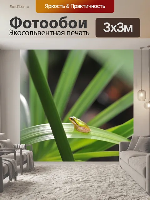 Фотообои Зеленая древесная лягушка