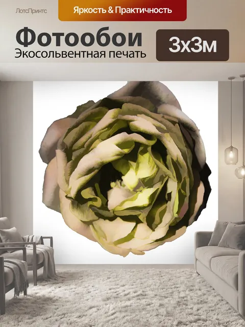 Фотообои Изолированная роза в желтом