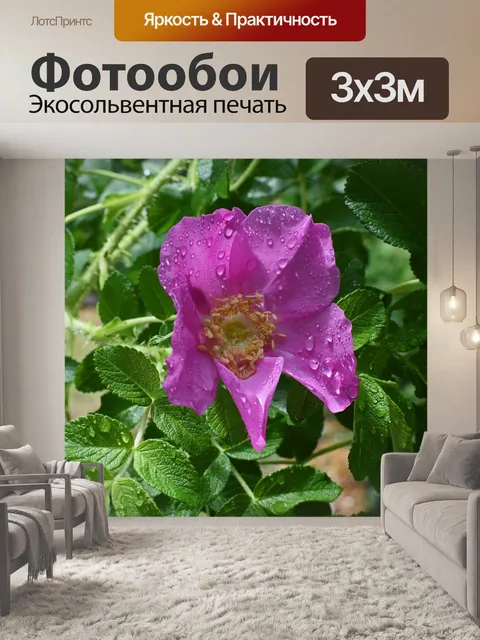 Фотообои Ярко-розовый морщинистый с каплями дождя