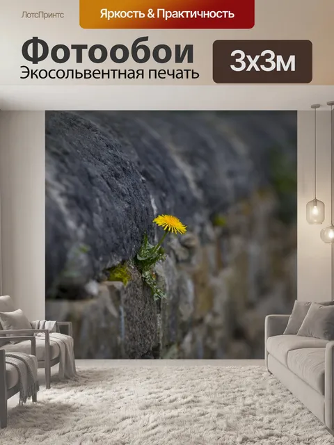 Фотообои Цветок