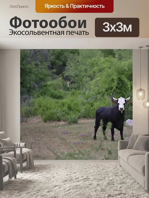 Фотообои Корова